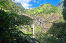 Tahiti Fautaua Valley and Big Waterfall Private Hiking Tour