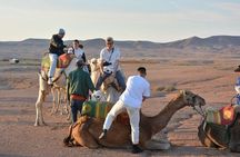 Agafay desert dinner show camel ride with sunset 