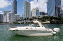 Miami Private Boat Tour Skyline, Star Island & Sandbar
