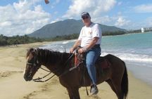 Amazing 3-Hour Horseback Riding at Puerto Plata with Pickup