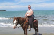 Amazing 3-Hour Horseback Riding at Puerto Plata with Pickup
