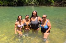 Private El Yunque Rainforest and Beach Tour for Cruise Ships