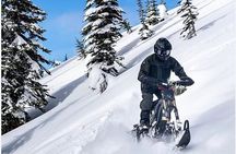 Tahoe Electric Snow Bike Tour