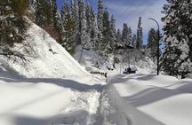 Snow Adventure in Shogran Thandiani Murree and Galyat from Lahore