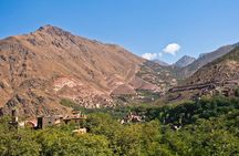 Private Atlas Mountains Daytrip Ourika Valley