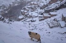 Atlas Mountains:2 day Trek to high & older village a north Africa
