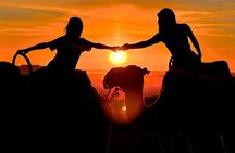 Marrakech Agafay Quad Adventure Camel Ride Sunset Dinner & Show