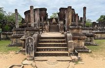 Polonnaruwa ancient city tour & minneriya safari from sigiriya