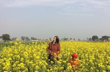 Private Cultural Amritsar City Experience in India