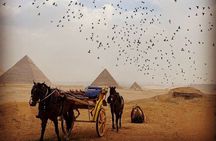 Giza pyramids Tour with horse drawn carriage or camel ride