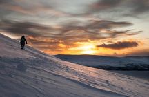 Ylläs Guided Snowshoeing Adventure to Kesänki Fell