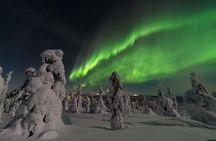 Ylläs: Guided Night Skiing Tour Under the Arctic Sky