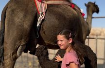 Empty Quarter Experience Culture and Desert Safari Magic