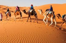 Private 3Day Luxury Sahara Adventure from marrakech to best Dunes