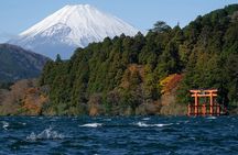 Shore Excursion Private Mt Fuji and Hakone Tour from Shimizu Port