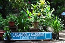 Roatan Private Tour , Culture and Views Experience