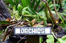 Roatan Private Tour , Culture and Views Experience