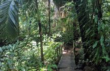 Roatan Private Tour , Culture and Views Experience