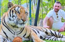 Phuket City tour with Tiger Experience (Best Seller)