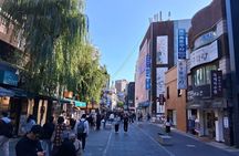 Customizing Private Tour in Seoul with Car