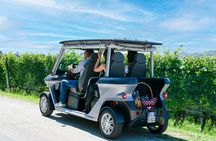 Olbia : Golf Cart Tour – Highlights & Stops Photos