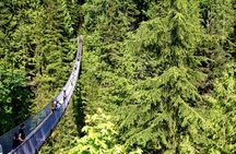 Vancouver City Tour for Small Group + Luggage