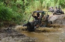 Roatan Sloth Off Road Buggy Mud Adventure + Beach(Beers & Snacks)