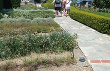 Ktima Gerovassiliou Wine Tour & Museum – Thessaloniki”