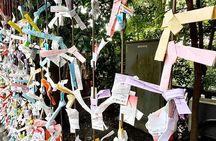 Tailored private Walking Tour in Kamakura with a Local Guide