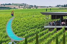 Private Tour from Vineyards to seaside Bliss in Thessaloniki