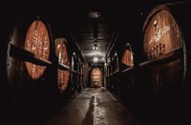 Immersive Christmas cellar visit and Alsace wine tasting