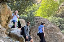 Marrakech : Ourika Valley Waterfalls & Atlas Mountains with lunch