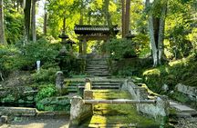 Tailored private Walking Tour in Kamakura with a Local Guide