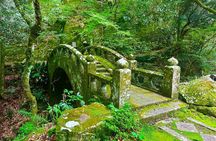 Nagasaki Highlights Private Full Day Tour by Car