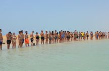 Ras Mohammed National Park by Bus with Snorkeling & Magic Lake