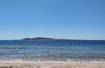 Ras Mohammed National Park by Bus with Snorkeling & Magic Lake