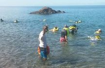 Dominica's Champagne and Hot Springs Dip