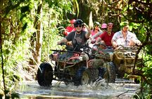 Roatan Excursions: Sloths Hangout Offroad Buggy & Beach Adventure