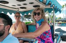 Scenic Tour in Traditional Vehicle Pneumonia in Mazatlan