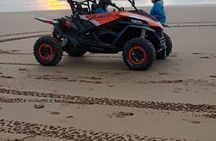 Essaouira Sidi Kaouki P7: Buggy ride (beach dunes forests)