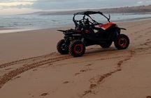 Essaouira Sidi Kaouki P7: Buggy ride (beach dunes forests)