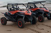 Essaouira Sidi Kaouki P7: Buggy ride (beach dunes forests)