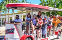 Fiesta Bike Tour in Todos Santos