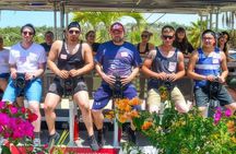 Fiesta Bike Tour in Todos Santos