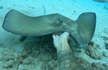Private catamaran sail & snorkel 