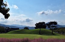 The Heart of Gyeongju: 4-Hour Private Tour with a Local guide