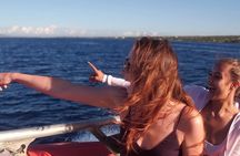 Maalaea Whale Watching Activity Visit 