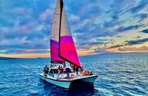 Maalaea Whale Watching Activity Visit 