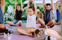 Puppy Yoga in Bali Canggu