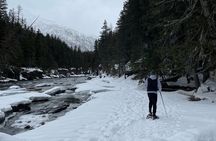 Snowshoe and Scenic Drive Tour in Glacier National Park